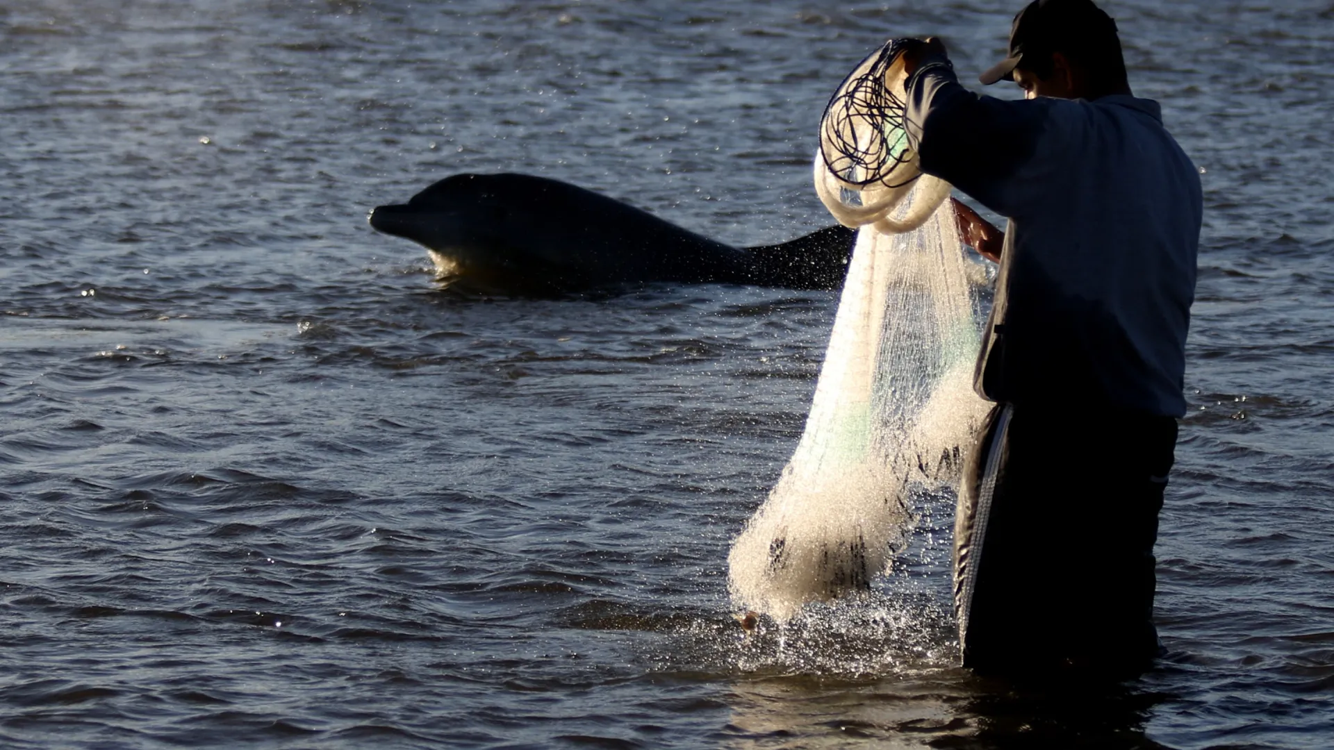 Pescador pescando em conjunto com um boto-de-Lahille