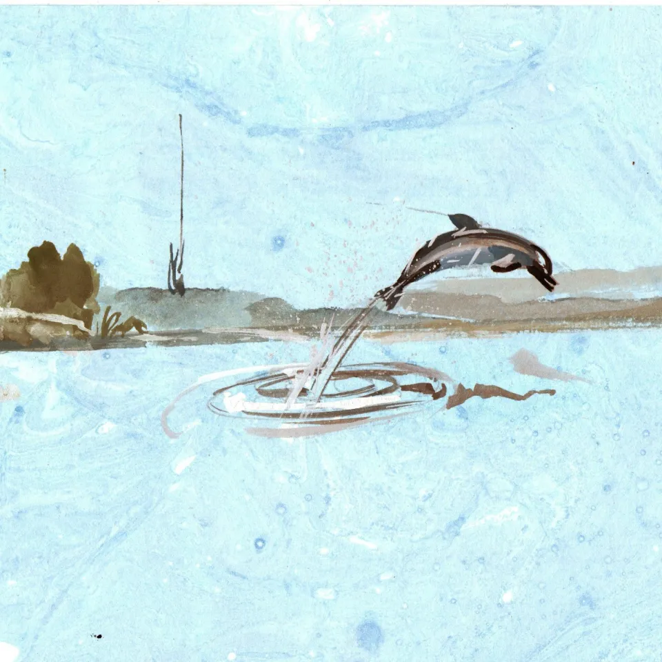 Pintura de um boto saltando fora d'água